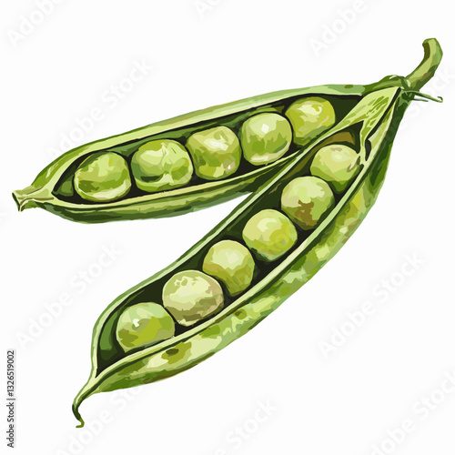 Watercolor Illustration of Fresh Green Pea Pods