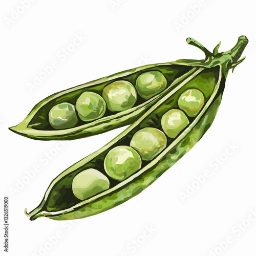 Watercolor Illustration of Fresh Green Pea Pods