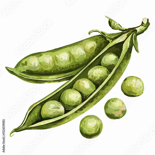 Watercolor Illustration of Fresh Green Pea Pods