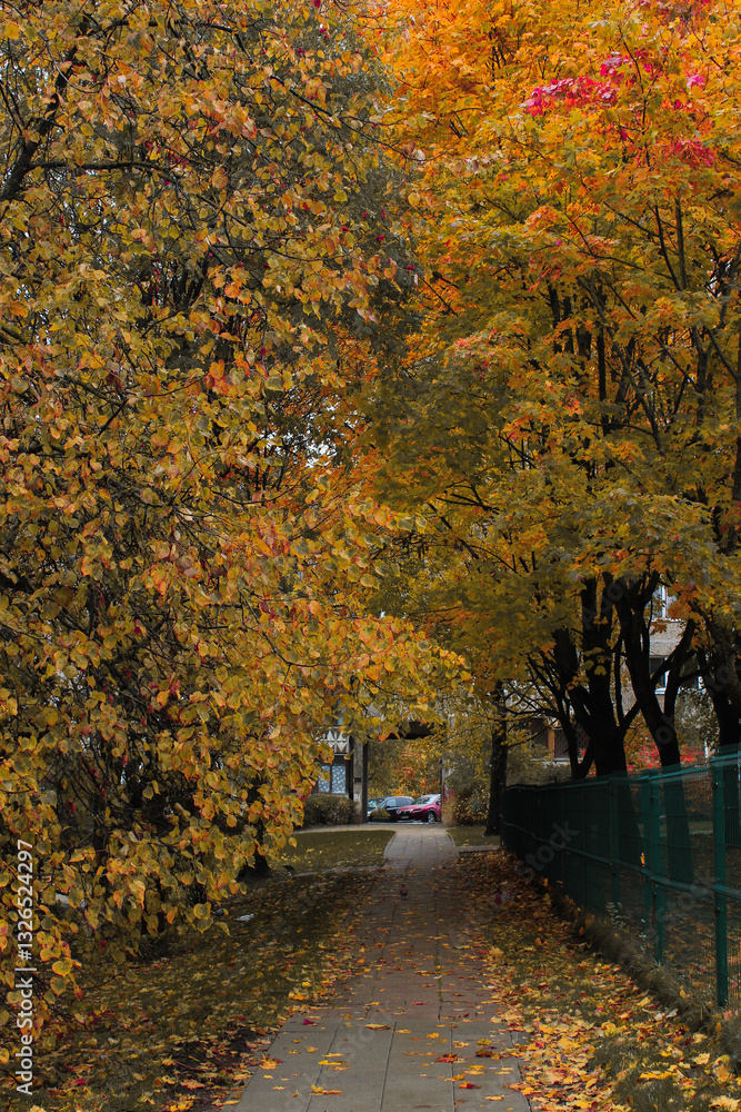 Naklejka premium autumn in the city