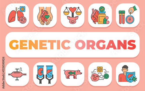 Genetic organs text concept. Shablon for presentation and Infographics.