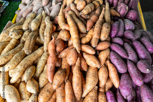 Variety of organic sweet potatoes tubers for sale in market stall, consisting yellow, red and purple skin types