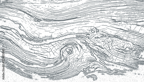 wooden texture vector