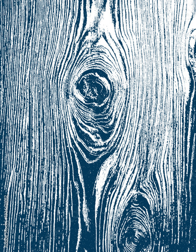 wooden texture vector