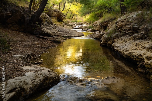 runlet snaking through a stark territory with its fresh water copying encircling traits glows with an alluring wonder  

