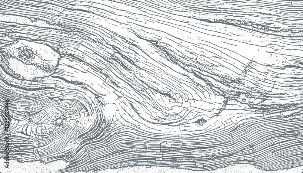 Fototapeta premium wooden texture vector