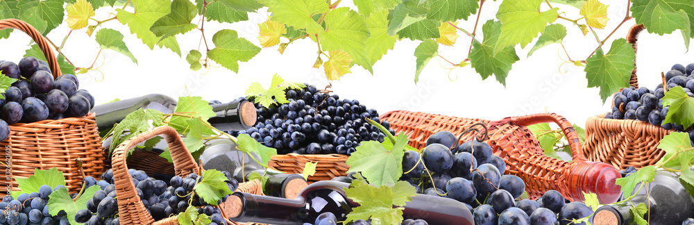Grape wine isolated