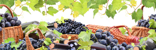 Grape wine isolated
