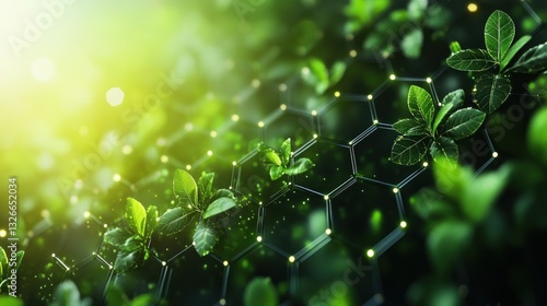 Net Zero Carbon Emissions Climate Neutral Strategy Sustainable Energy Future Eco-Friendly Technology Green City Innovation