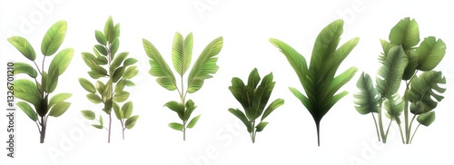 This collection features a variety of different types of leaves in it
