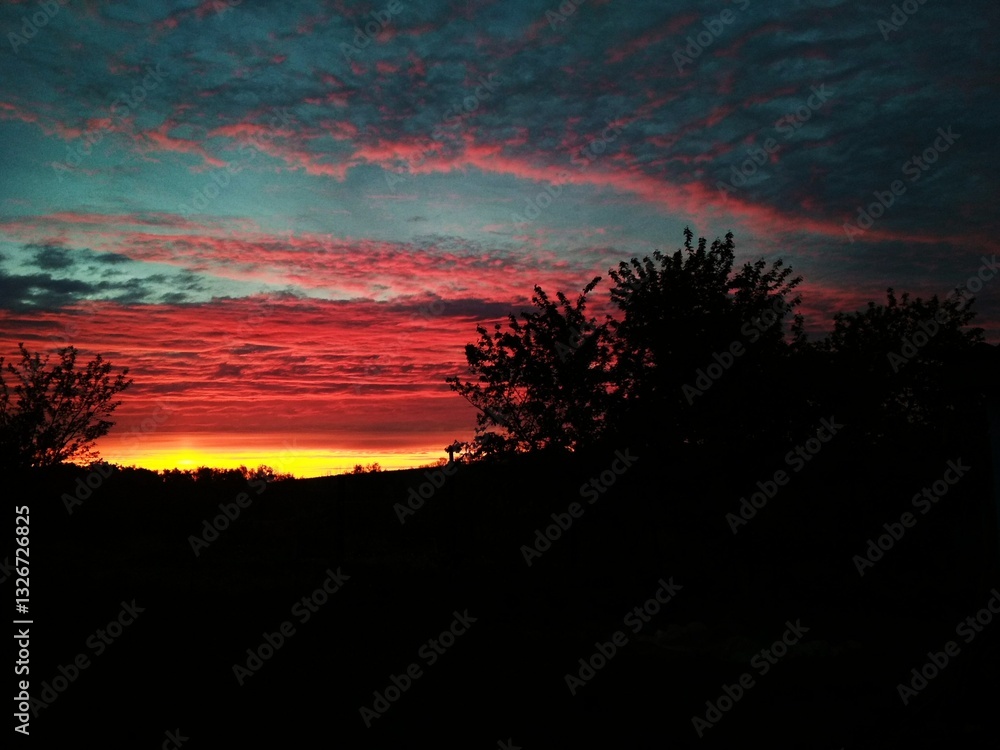 Fototapeta premium Sunrise over the trees