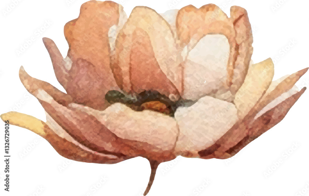 Fototapeta premium Vector Watercolor painted flower illustration. Hand drawn flower design elements isolated on white background.