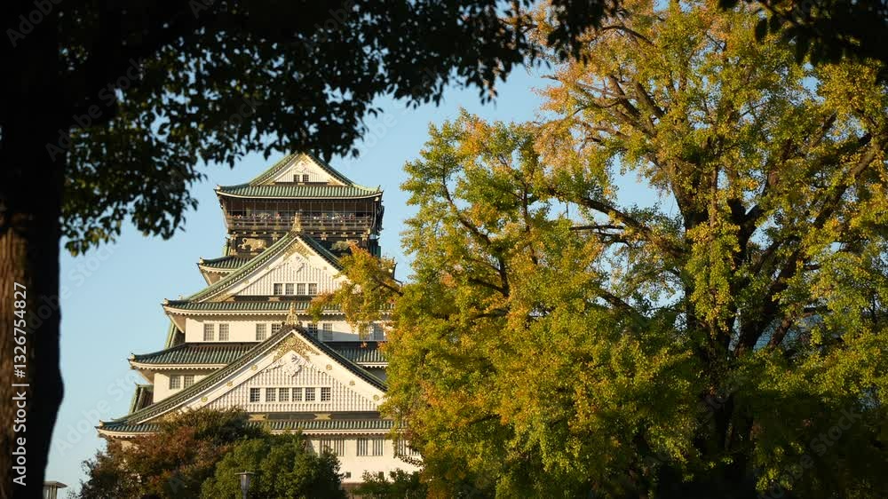 View of Osaka Castle and autumn foliage on a sunny day, Osaka Castle (Osakajo), Chuo Ward, Osaka, Honshu, Japan View of Osaka Castle and autumn foliage on a sunny day, Osaka Castle (Osakajo), Chuo Ward, Osaka, Honshu, Japan