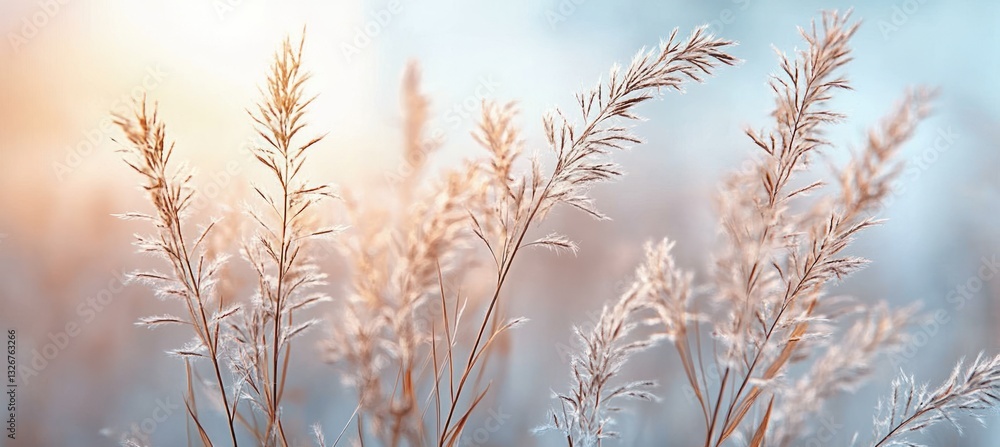 Meditation and Mindfulness for Peace of Mind and Relaxation Meditation and Mindfulness for Peace of Mind and Relaxation