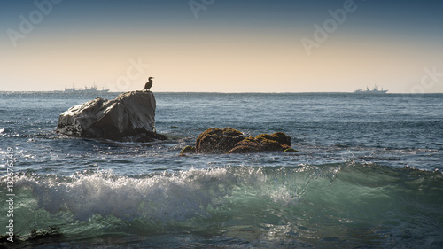 Seascape with a bird sitting on a rock looking in to the distance at sunrise, ships silhouettes on the horizon and a breaking wave in the foreground 