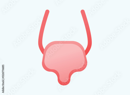 Illustration of an Human Organs Bladder Gradient Icon