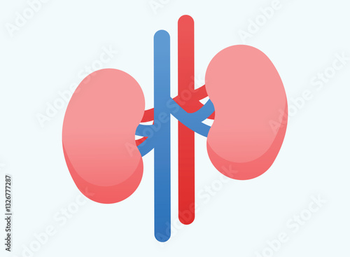 Illustration of an Human Organs Kidney Gradient Icon