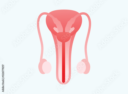 Illustration of an Human Organs Male Reproductive Gradient Icon