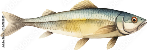 Watercolor painted fish. Hand drawn fresh seafood design element isolated on white background.