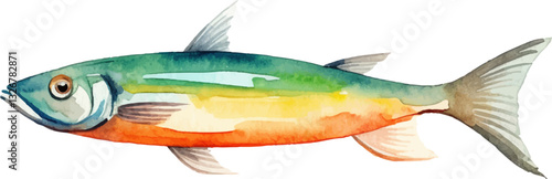 Watercolor painted fish. Hand drawn fresh seafood design element isolated on white background.