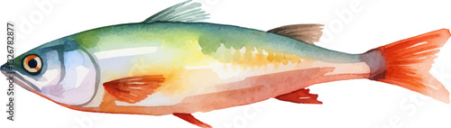 Watercolor painted fish. Hand drawn fresh seafood design element isolated on white background.