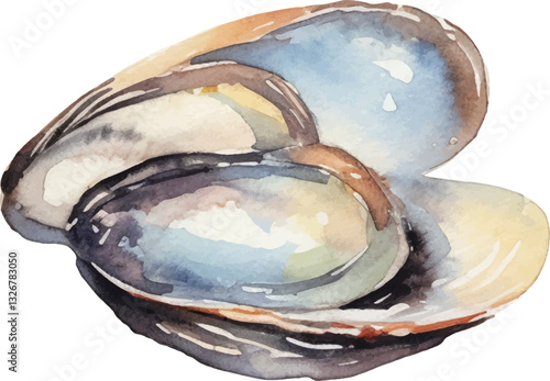 Watercolor painted mussels. Hand drawn fresh seafood design element isolated on white background.