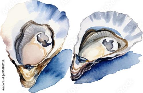 Watercolor painted oysters. Hand drawn fresh seafood design element isolated on white background.
