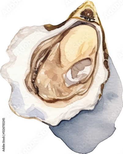 Watercolor painted oysters. Hand drawn fresh seafood design element isolated on white background.