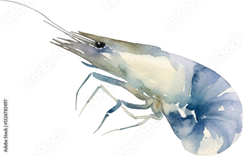 Watercolor painted shrimp. Hand drawn fresh seafood design element isolated on white background.