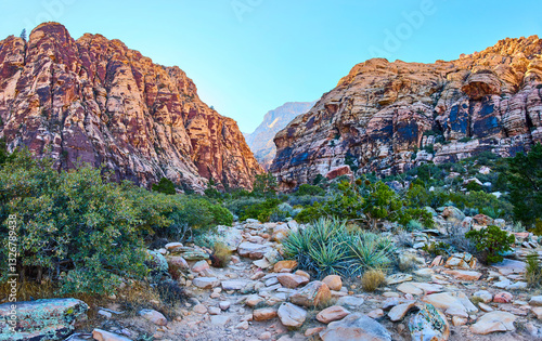 Canvas Print Red Rock Canyon Trail with Towering Cliffs and Desert Plants at Eye Level