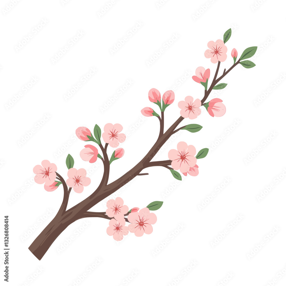 Cherry blossom branch with pink blooms and buds illustration Cherry blossom branch with pink blooms and buds illustration