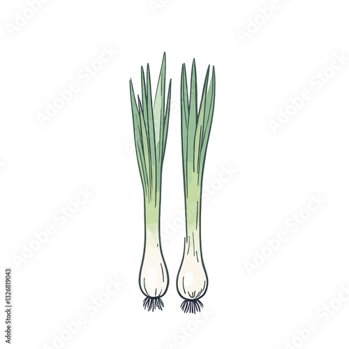 Two watercolor scallions on white background