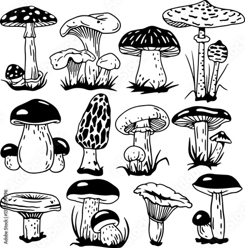 Mystical boho mushrooms vector set, magic fantasy mushroom clipart, witchcraft symbol, witchy esoteric objects, mystical floral elements