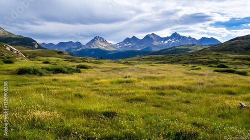 Vast green meadow in the mountains under a beautiful cloudy sky during summer : Generative AI