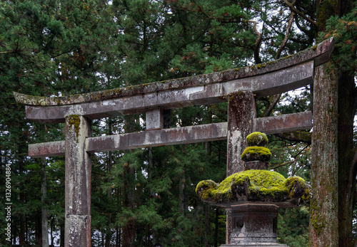 Fotografie Ancient stone torii gate at Toshogu Shrine in Nikko Japan covered with moss and