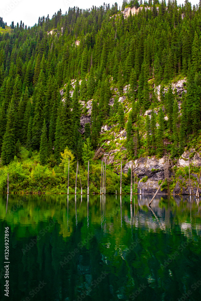 Obraz premium Sunken forest of Lake Kaindy in Kazakhstan. Beautiful mountain natural landscape. A blue lake with tree trunks sticking out of it. Panoramic view of the reserve.