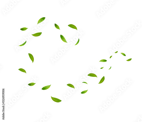 Green Floating Leaves