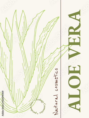 Aloe vera vertical poster, card design template concept. Natural cosmetics ingredient. Hand drawn ink sketch plant from package design. Ecology concept in beauty industry.