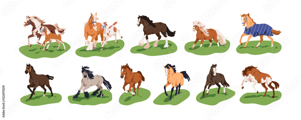 Obraz premium Horses running, galloping, trotting, walking and frolicking outdoors, set. Thoroughbred stallions in dynamic poses. Equine animals in movement. Flat vector illustration isolated on white background