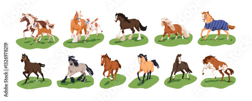 Horses running, galloping, trotting, walking and frolicking outdoors, set. Thoroughbred stallions in dynamic poses. Equine animals in movement. Flat vector illustration isolated on white background