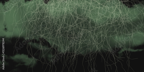 Thunder, lightnings and rain on a stormy summer night in black and white. Lightning bolts in the sky at night. Lightning on the sky with stormy clouds .