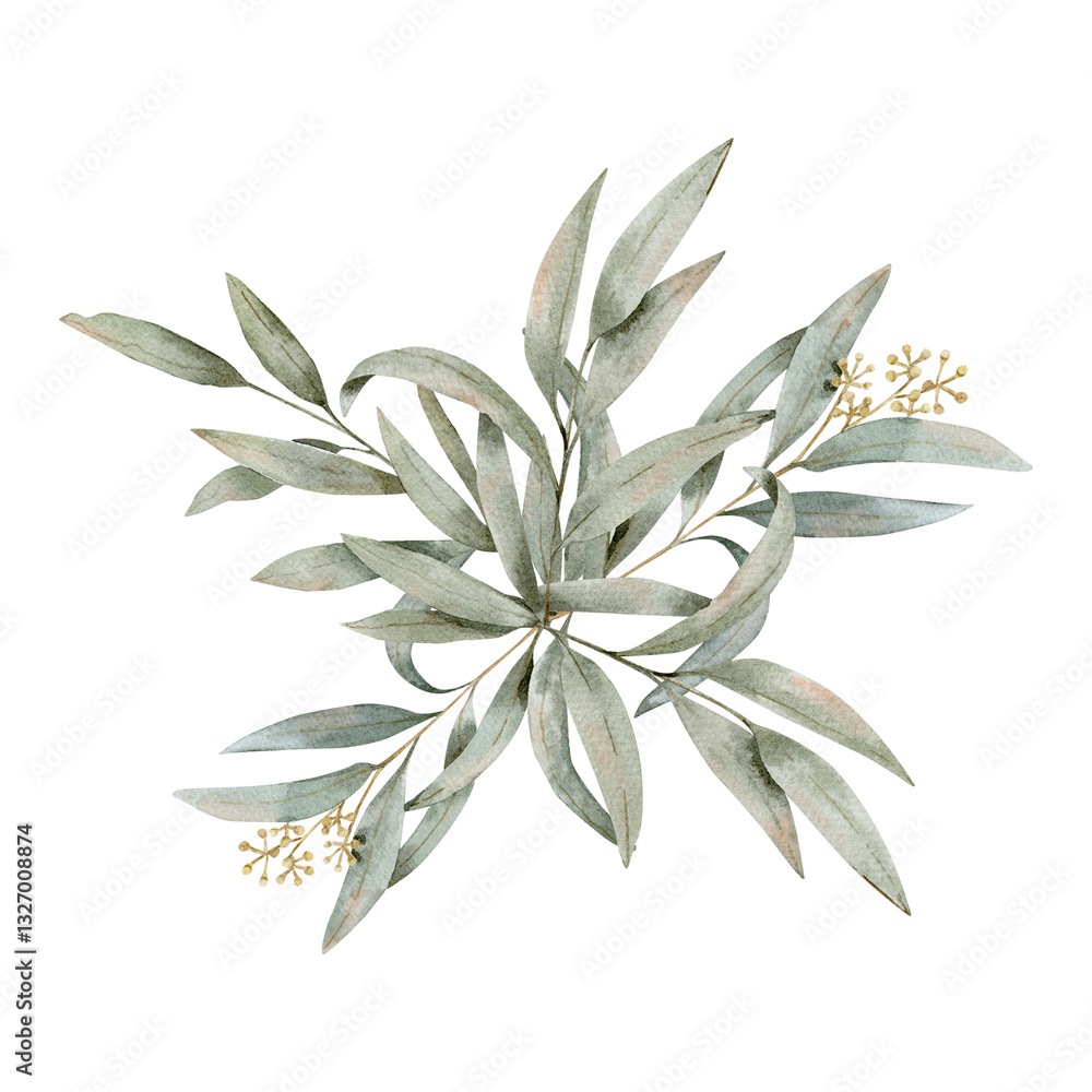 Watercolor hand drawn composition with different weeping eucalyptus branches of svage green color. Can be used on fabrics and paper products and other. Watercolor hand drawn composition with different weeping eucalyptus branches of svage green color. Can be used on fabrics and paper products and other.