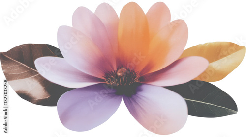 Pastel flower with colorful petals and leaves vintage element isolated on transparent background