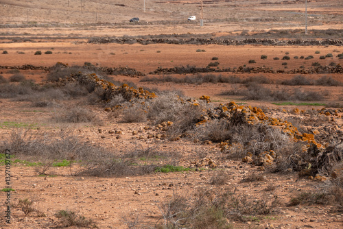 Obraz na płótnie Vista de los campo con gavias para recoger las aguas. La Oliva, Fuerteventura. w salonie