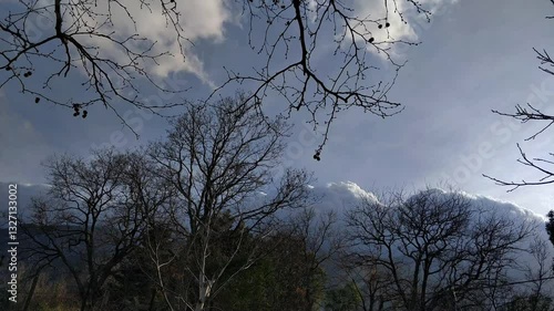 A serene time-lapse of drifting clouds in the sky, framed by the silhouette of bare tree branches. The contrast between the dark branches and the soft, moving clouds creates a peaceful yet moody atmos