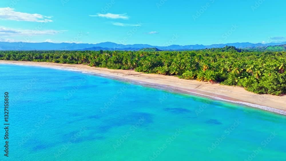 Beautiful drone view of beach line with palm grove and ocean. Blue sky and white waves of turquoise sea on yellow sand. Tropical beach background as summer landscape. Wide format. Beautiful drone view of beach line with palm grove and ocean. Blue sky and white waves of turquoise sea on yellow sand. Tropical beach background as summer landscape. Wide format.