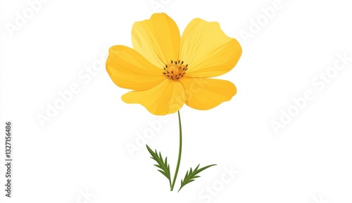 Single Yellow Flower on White Background