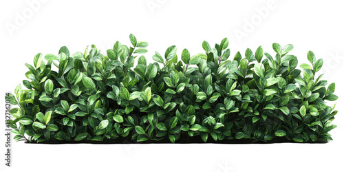 Wallpaper Mural Realistic tropics greenish shrubs isolated on transparent background, PNG Torontodigital.ca