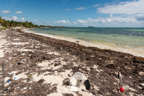 Wallpaper Mural angeschwemmter Müll am Strand Torontodigital.ca
