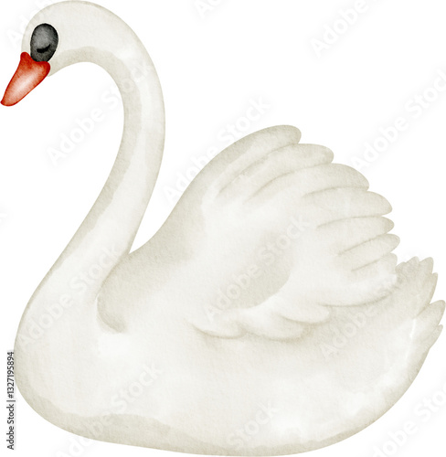 Fototapeta Naklejka Na Ścianę i Meble -  watercolor swan